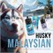 Жидкость Husky Malaysian Salt 30 мл 20 мг 2440
